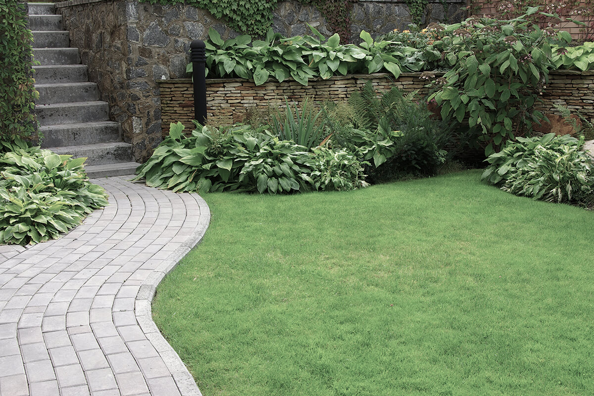 Welcome to Charlie And The Boys Landscaping